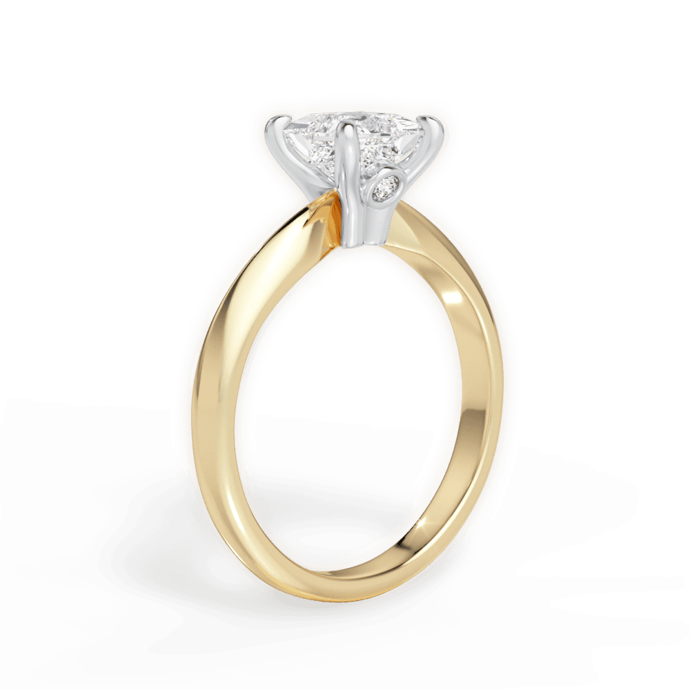 14kt Yellow Gold/18kt Yellow Gold/princess/front