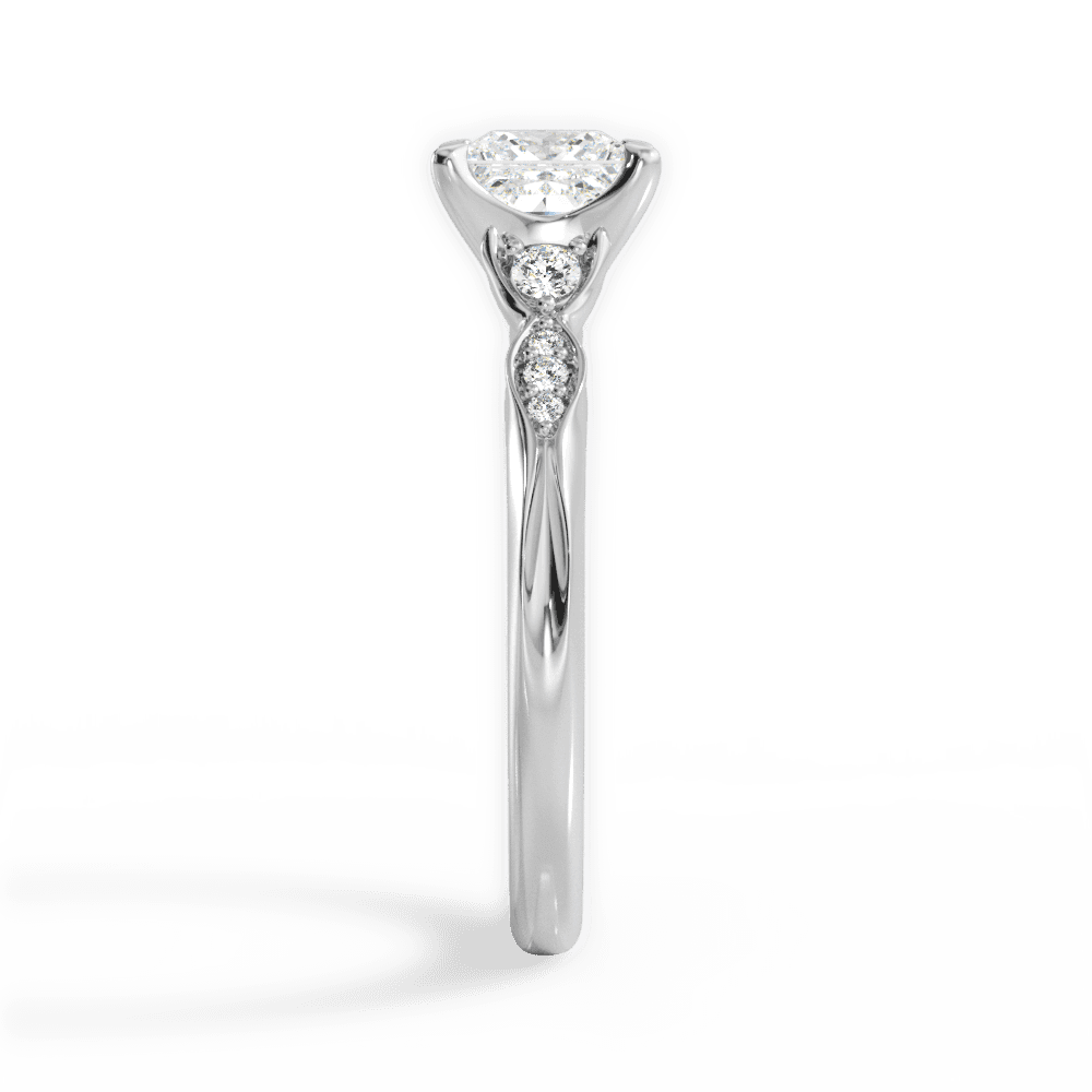 14kt White Gold/18kt White Gold/Platinum/princess/perspective