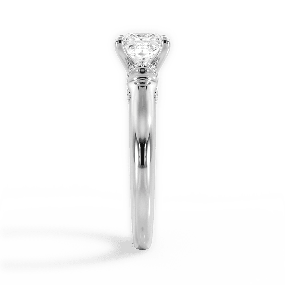 14kt White Gold/18kt White Gold/Platinum/princess/perspective