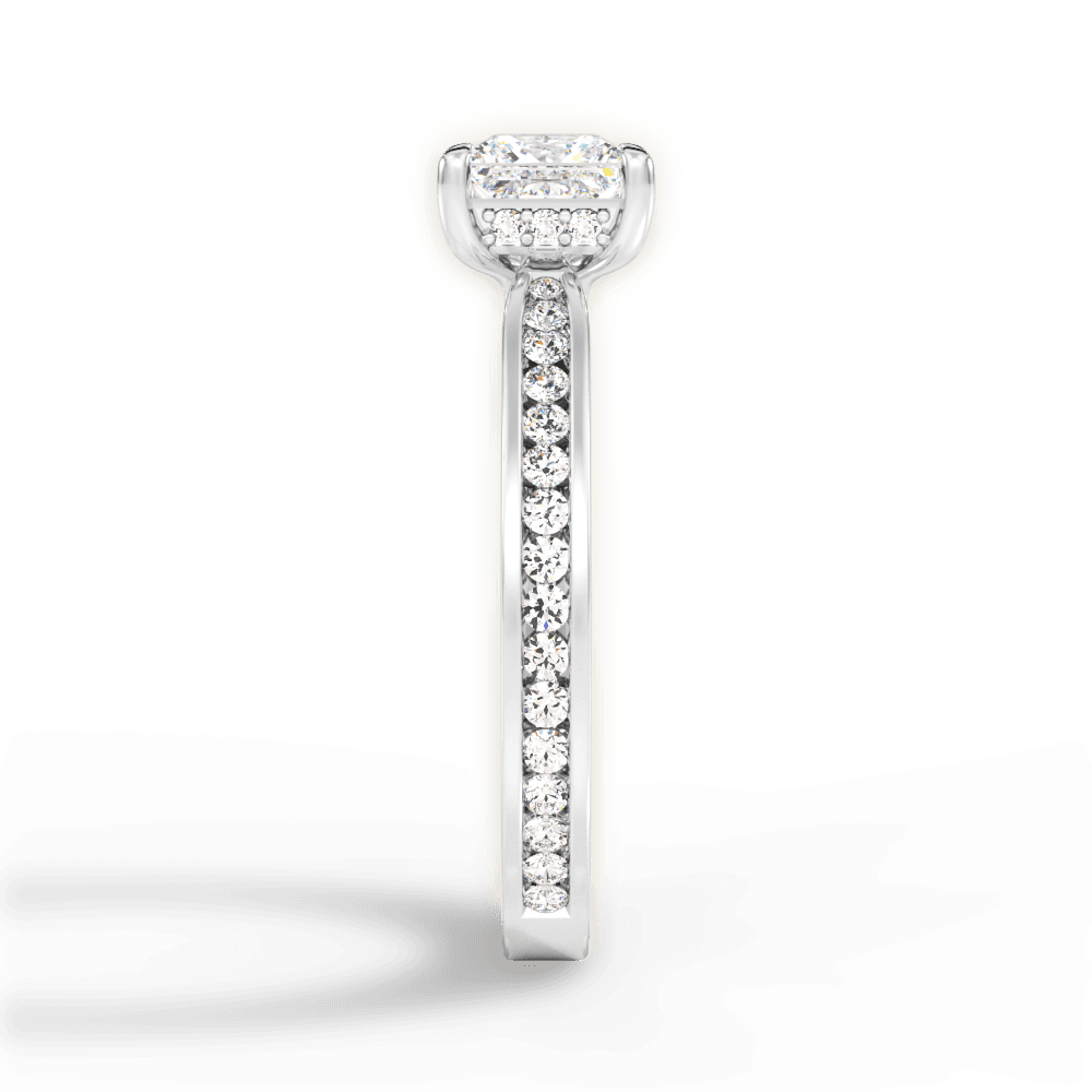 14kt White Gold/18kt White Gold/Platinum/princess/perspective