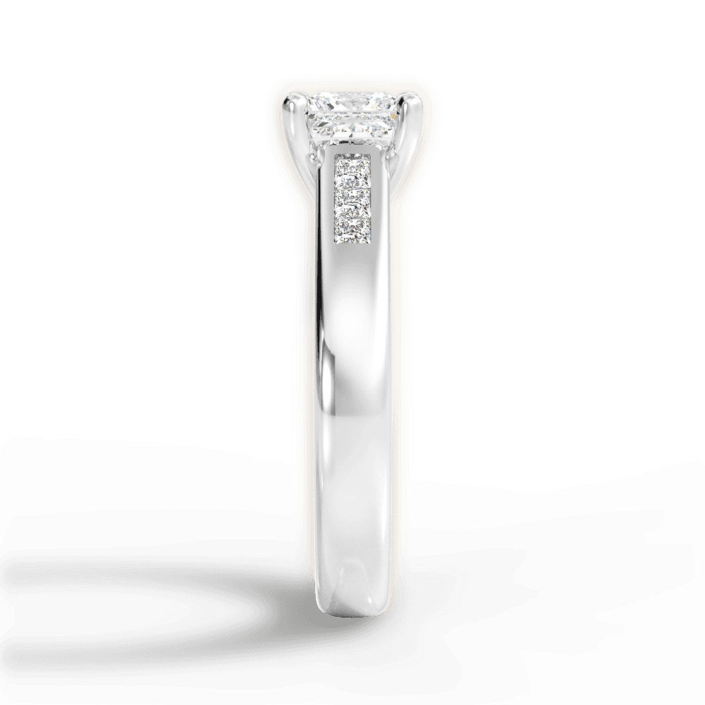 14kt White Gold/18kt White Gold/Platinum/princess/perspective