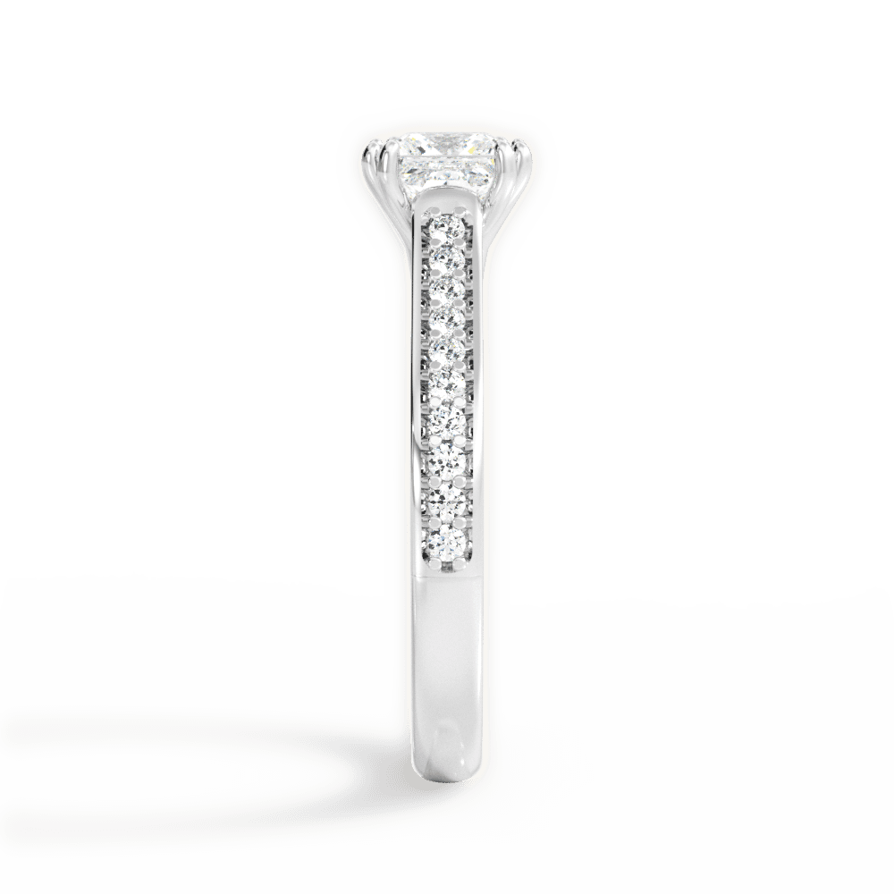 14kt White Gold/18kt White Gold/Platinum/princess/perspective