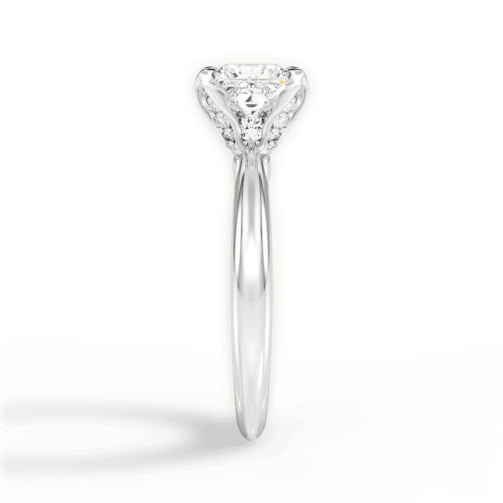 14kt White Gold/18kt White Gold/Platinum/princess/perspective