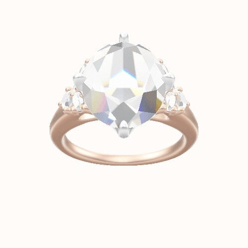 Cathedral Band with Marquise & Round Diamond Sidestones Engagement Ring With Petal Compass Prong Head