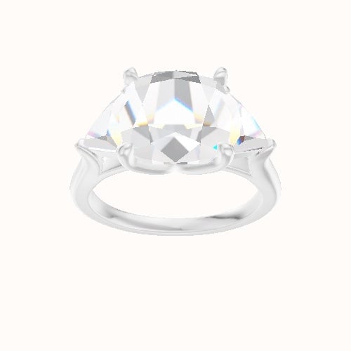 Cathedral Band with Trillion Sidestones Engagement Ring With Petal Four Prong Head