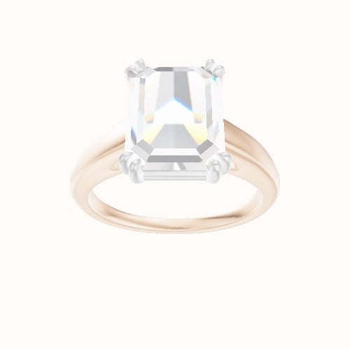 Cathedral Engagement Ring With Double Prongs Head
