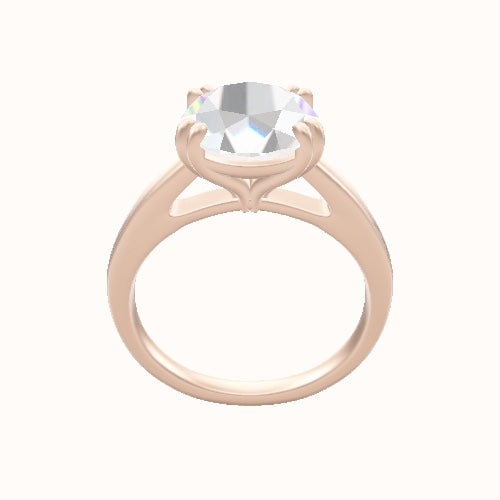 Cathedral Engagement Ring With Double Prongs Head