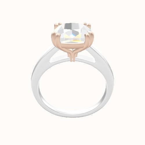 Cathedral Engagement Ring With Double Prongs Head