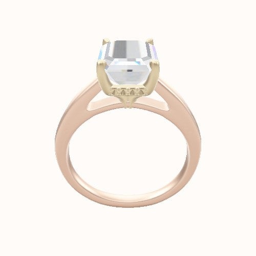 Cathedral Engagement Ring With Front set gallery Head