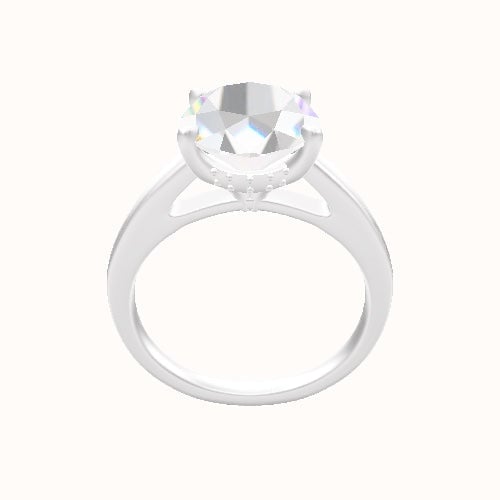 Cathedral Engagement Ring With Front set gallery Head