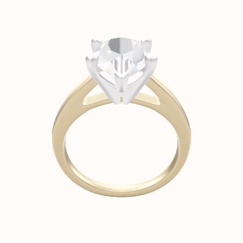 Cathedral Engagement Ring With High Set Four Prong Head
