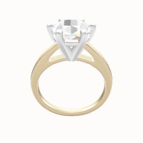 Cathedral Engagement Ring With High Set Six Prong Head