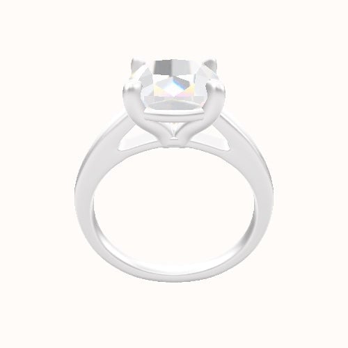 Cathedral Engagement Ring With Standard Four Prong Head