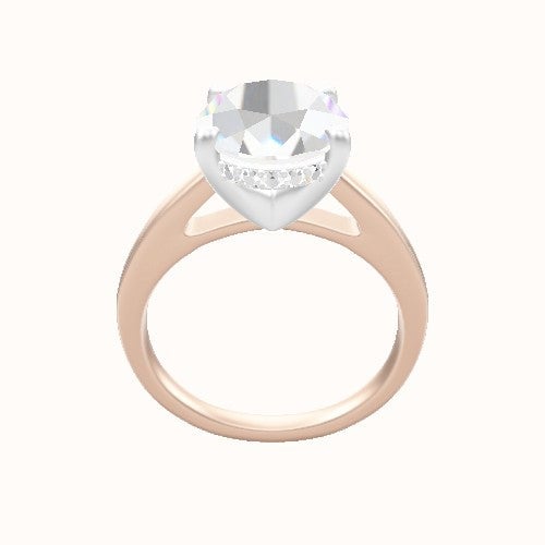 Cathedral Engagement Ring With V Prong with Hidden Halo Head