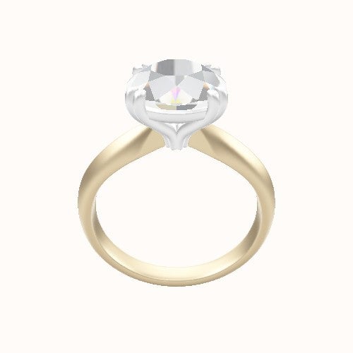 Modified Knife Edge Engagement Ring With Double Prongs Head