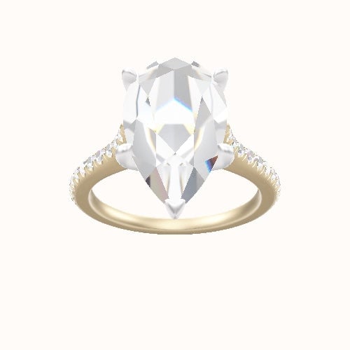 Pave Cathedral Engagement Ring With Petal Four Prong Head