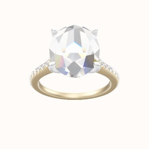 Pave Cathedral Engagement Ring With Petal Four Prong Head