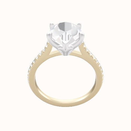 Pave Cathedral Engagement Ring With Petal Four Prong Head