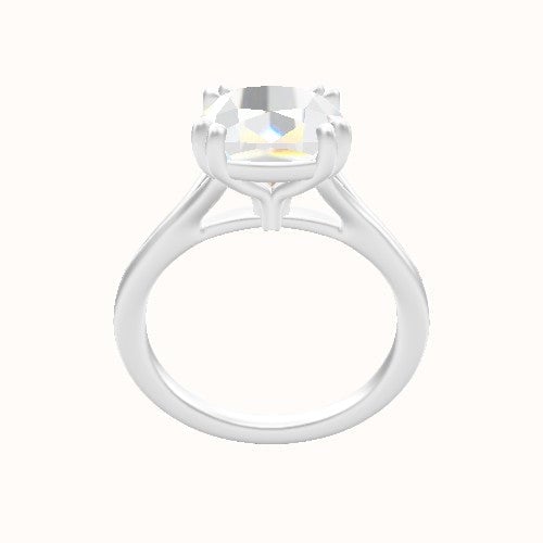 Split Cathedral Engagement Ring With Double Prongs Head