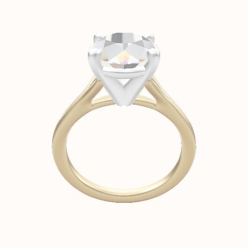 Split Cathedral Engagement Ring With High Set Four Prong Head