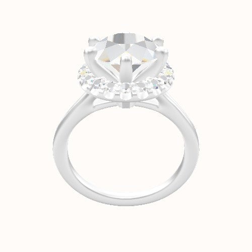 Split Cathedral Engagement Ring With Six Prong Halo Head