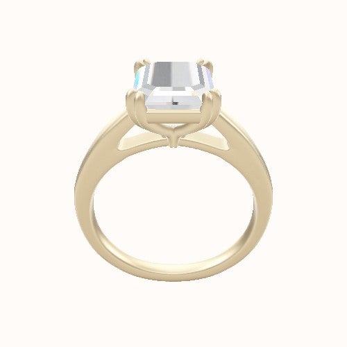 Cathedral Engagement Ring With Double Prongs Head