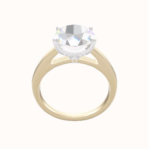 Cathedral Engagement Ring With Front set gallery Head