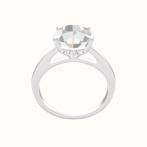 Cathedral Engagement Ring With Front set gallery Head