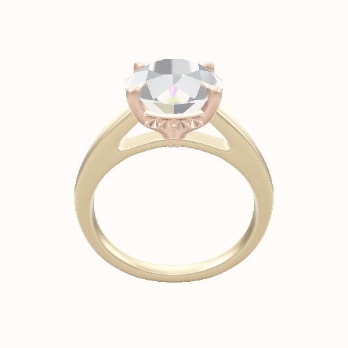 Cathedral Engagement Ring With Front set gallery Head