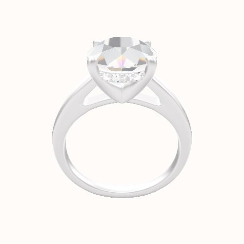 Cathedral Engagement Ring With V Prong with Hidden Halo Head