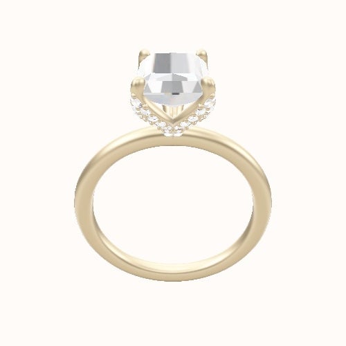 Classic Solitaire Engagement Ring With Pave Petal Four Prong Head