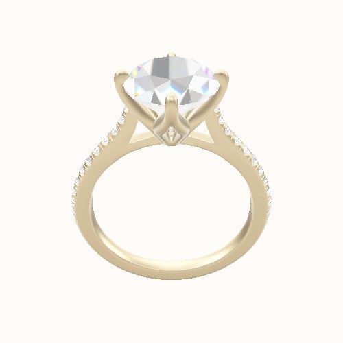 Pave Cathedral Engagement Ring With Petal Compass Prong Head