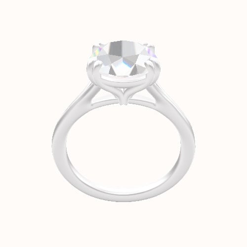 Split Cathedral Engagement Ring With Double Prongs Head
