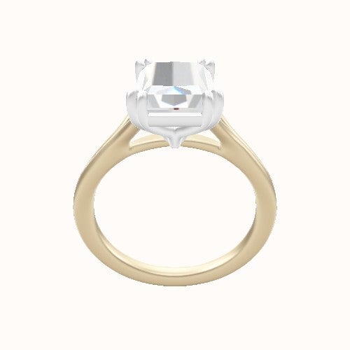 Split Cathedral Engagement Ring With Double Prongs Head