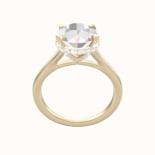 Split Cathedral Engagement Ring With Pave Basket Head